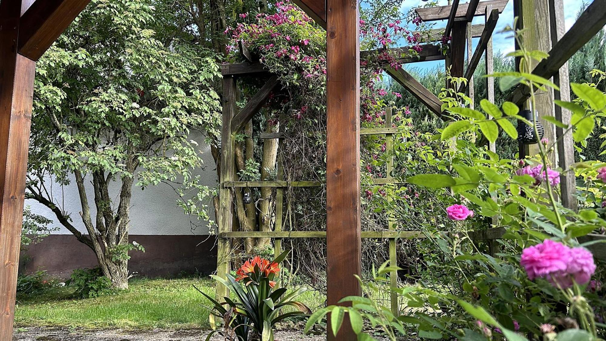 Grosszuegige Wohnung Mit Terrasse Und Gartenzugang - Das Komplette Erdgeschoss Bindlach Exterior photo